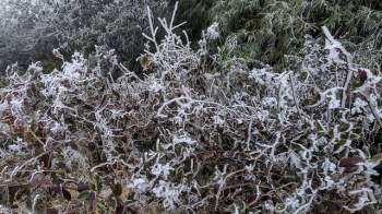 Sáng nay đỉnh Mẫu Sơn, Phia Oắc cây cối đóng băng, nhiều du khách thích thú chụp ảnh check in - Ảnh 9.