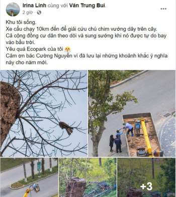 Những điều kì diệu nhỏ bé lấp lánh: Cư dân, công ty cây xanh ở Ecopark huy động xe cẩu chạy 10 km để giải cứu chú chim mắc trên cành cây - Ảnh 9.