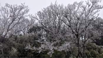 Sáng nay đỉnh Mẫu Sơn, Phia Oắc cây cối đóng băng, nhiều du khách thích thú chụp ảnh check in - Ảnh 11.