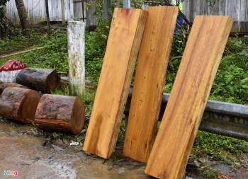 Sau mưa lũ, gỗ rừng dày đặc trên sông ở Quảng Ngãi - Ảnh 11.