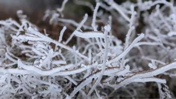 Sáng nay đỉnh Mẫu Sơn, Phia Oắc cây cối đóng băng, nhiều du khách thích thú chụp ảnh check in - Ảnh 12.