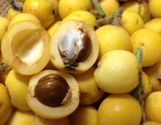Những loại quả dại rụng đầy đường ở nước ngoài nhưng về Việt Nam lại có giá siêu đắt - Ảnh 3.