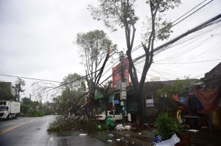 Tan hoang sau bão số 9: Hàng loạt mái tôn, cây xanh đổ rạp khắp miền Trung - ảnh 5