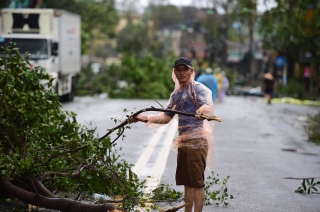 Tan hoang sau bão số 9: Hàng loạt mái tôn, cây xanh đổ rạp khắp miền Trung - ảnh 12