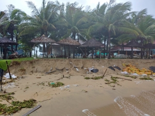 Quảng Nam: Bờ biển Cửa Đại tiếp tục sạt lở