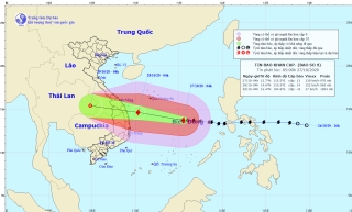 Hàng không Việt Nam phát công điện khẩn ứng phó với siêu bão số 9 - Ảnh 2.