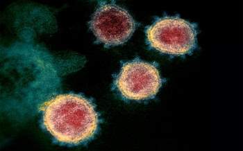 Biến thể virus SARS-CoV-2 tại Anh đã lan ra toàn thế giới - Ảnh 1.
