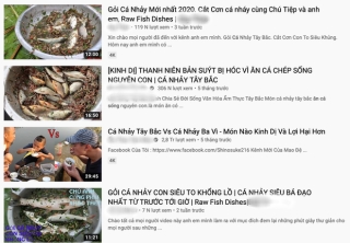 Rùng mình với trào lưu ăn uống man rợ trên YouTube: Câu like rẻ tiền với loạt video ăn cá sống và chất thải động vật? - Ảnh 3.