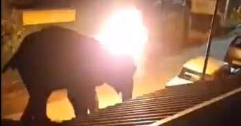 Con voi 40 tuổi bị thiêu đốt đau đớn đến Ch?t, người người phẫn nộ trước hành vi tàn ác