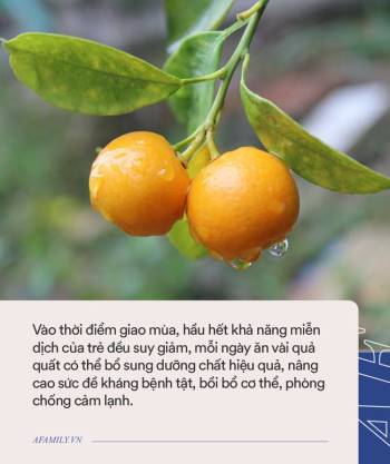 Đầu thu, mẹ cứ cho con ăn 8 loại quả này, con khỏe mạnh, không ốm vặt - Ảnh 3.