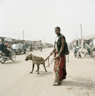Bức ảnh bị hiểu nhầm hé lộ sự thật về những người huấn luyện linh cẩu để kiếm sống tại Nigeria - Ảnh 7.