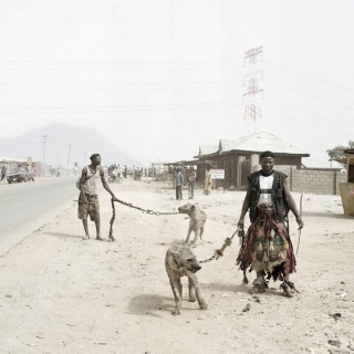 Bức ảnh bị hiểu nhầm hé lộ sự thật về những người huấn luyện linh cẩu để kiếm sống tại Nigeria - Ảnh 8.
