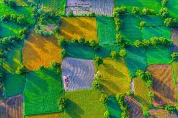 Nằm ở huyện Tri Tôn, cánh đồng Tà Pạ là địa điểm thu hút nhiều du khách và nhiếp ảnh gia tìm đến săn ảnh. Từ trên cao nhìn xuống, cánh đồng như được tạo thành từ vô số mảnh ghép với đủ sắc xanh, vàng đẹp mắt, thơ mộng. Ảnh: Quang Ngọc.