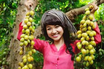 Tiền Giang được mệnh danh vương quốc trái cây. Hiện nay, tỉnh Tiền Giang có hơn 75.000 ha diện tích trồng cây ăn quả, dẫn đầu cả nước, cho sản lượng khoảng 1,3 triệu tấn trái cây mỗi năm. Ảnh: Du lịch miền Tây.