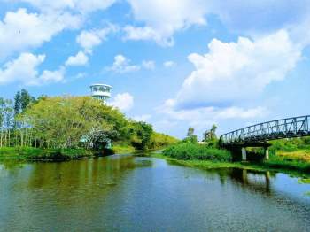 Vườn quốc gia U Minh Thượng thuộc địa phận huyện U Minh Thượng của tỉnh Kiên Giang, có tổng diện tích hơn 8.000 ha. Đây là nơi bảo tồn hệ sinh thái rừng tràm úng phèn trên đất than bùn rất độc đáo của cả nước. Vườn quốc gia U Minh Thượng cũng thuộc danh sách Vườn di sản ASEAN. Ảnh: Huynh.nguyen.944.