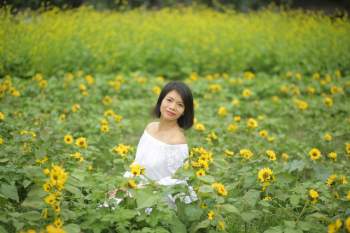 Cận cảnh phim trường hoa dã quỳ khiến nhiều người trẻ phát cuồng ở Hà Nội - Ảnh 2.