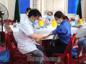Đà Nẵng 'góp' hơn 500 đơn vị máu, hỗ trợ công tác điều trị ở miền Bắc - ảnh 2