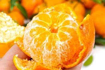 Trái cây họ cam quýt như cam, chanh và chanh là những nguồn cung cấp vitamin C lớn cho cơ thể. Vitamin C tăng cường hệ miễn dịch bằng cách tăng sản xuất bạch cầu. Đây là một nguồn chống oxy hóa rất phong phú đồng thời cũng là chất chống viêm và chống vi khuẩn trong tự nhiên.