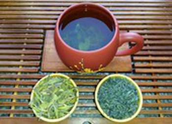 Tác dụng của việc bổ sung trà xanh đối với bệnh béo phì