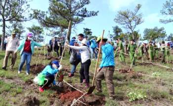 Lâm Đồng phát động trồng 50 triệu cây xanh -0
