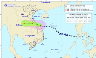 Trưa nay bão số 5 sẽ đổ bộ đất liền các tỉnh Quảng Trị-Thừa Thiên Huế 