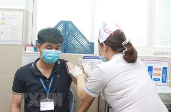 Bo Y te thong tin ve dong mau do tiem vaccine phong COVID-19 hinh anh 1