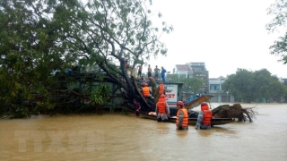 Phong chong cac dich benh truyen nhiem trong mua mua bao hinh anh 1