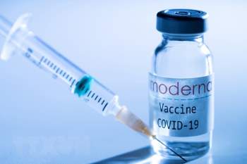 WHO xem xet kha nang cap phep su dung khan cap voi vaccine Moderna hinh anh 1