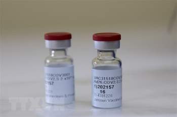 COVID-19: Dan Mach tam dung su dung vaccine cua Johnson & Johnson hinh anh 1