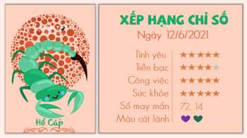 Tử vi 12 cung hoàng đạo - Tử vi ngày 12/6/2021 cung Hổ Cáp