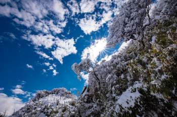 Du khách thích thú với khung cảnh tuyết phủ trắng tuyệt đẹp ngày cuối năm trên đỉnh Fansipan - Ảnh 12.