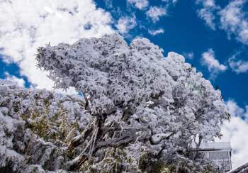 Du khách thích thú với khung cảnh tuyết phủ trắng tuyệt đẹp ngày cuối năm trên đỉnh Fansipan - Ảnh 13.