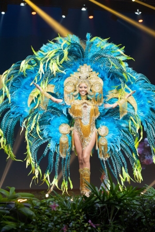 National Costume sắc xanh đẹp nhất: Đỗ Mỹ Linh Tiểu Vy tỏa sáng tại Miss World, Hoàng Hạnh giật huy chương ảnh 2