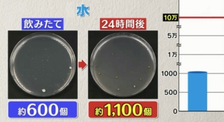 Đài TBS Nhật thử nghiệm 6 loại nước phổ biến sau 24 giờ ở nhiệt độ phòng: Vi khuẩn trong cà phê sữa tăng gấp 8000 lần, trong trà xanh không tăng còn giảm - Ảnh 8.