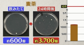 Đài TBS Nhật thử nghiệm 6 loại nước phổ biến sau 24 giờ ở nhiệt độ phòng: Vi khuẩn trong cà phê sữa tăng gấp 8000 lần, trong trà xanh không tăng còn giảm - Ảnh 7.