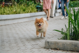 Người Hà Nội thích thú với diện mạo mới của hồ Gươm sau 5 tháng lát đá vĩnh cữu - Ảnh 17.