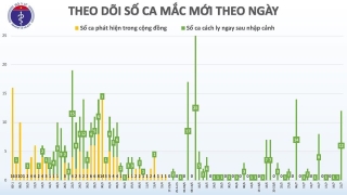 Việt Nam ghi nhận thêm 12 ca mắc Covid-19