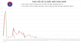 Việt Nam ghi nhận thêm 3 ca Covid-19 đều là chuyên gia