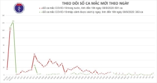 Việt Nam ghi nhận thêm 5 ca Covid-19, tổng 1054 người mắc