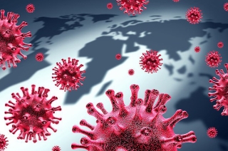850.000 virus chưa được phát hiện ở động vật, có thể lây sang người gây đại dịch - Ảnh 1.