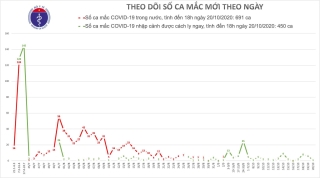 Vợ chuyên gia Ấn Độ là ca Covid 1141 tại Việt Nam