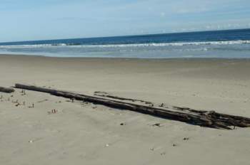 Xác tàu đắm bí ẩn nổi lên từ cát ở bãi biển Bắc Carolina.