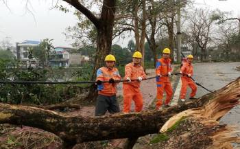 Ngành điện miền Bắc khắc phục thiệt hại thiên tai, đảm bảo sản xuất kinh doanh. - 3