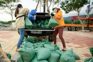 Người dân Đà Nẵng ra bờ biển cho cát vào bao tải chở về chèn chống nhà cửa. Ảnh: Nguyễn Đông.