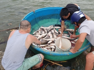 'Đêm nay thức trắng chờ bão số 9 tan bởi gia sản đang phó mặc cho trời' - ảnh 2