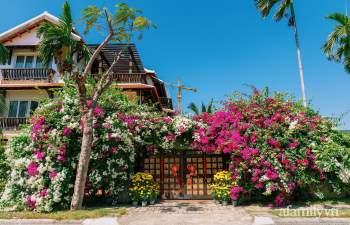 Căn nhà vườn xây 10 năm vẫn đẹp hút mắt với nội thất gỗ và cây xanh quanh nhà ở Nha Trang - Ảnh 1.
