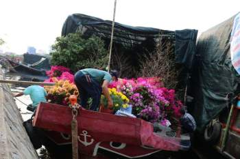 Chợ hoa xuân ở Bến Bình Đông: Kẻ bán người mua mong Tết đủ đầy - ảnh 3