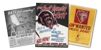 Các tấm poster tuyên truyền tiêu diệt loài chuột của Alberta. (Ảnh: The Guardian)