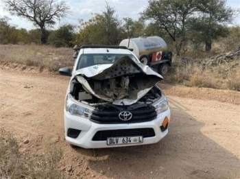 Chiếc xe ô tô của anh Nukeri bị hư hỏng nặng sau lần chạm mặt con voi.