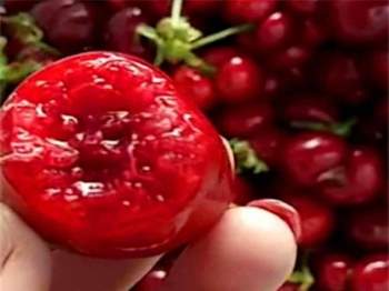 anh đào, cherry, mẹo hay, rửa hoa quả